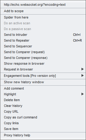 Burp Suite